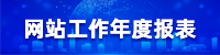 網(wǎng)站年度報(bào)表